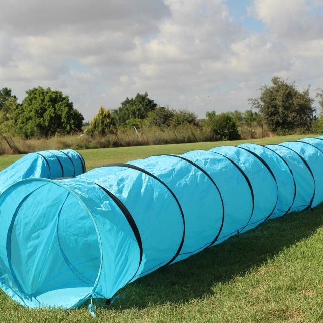 אג'ילטי לכלבים מקצועי - מנהרה 5 מטר